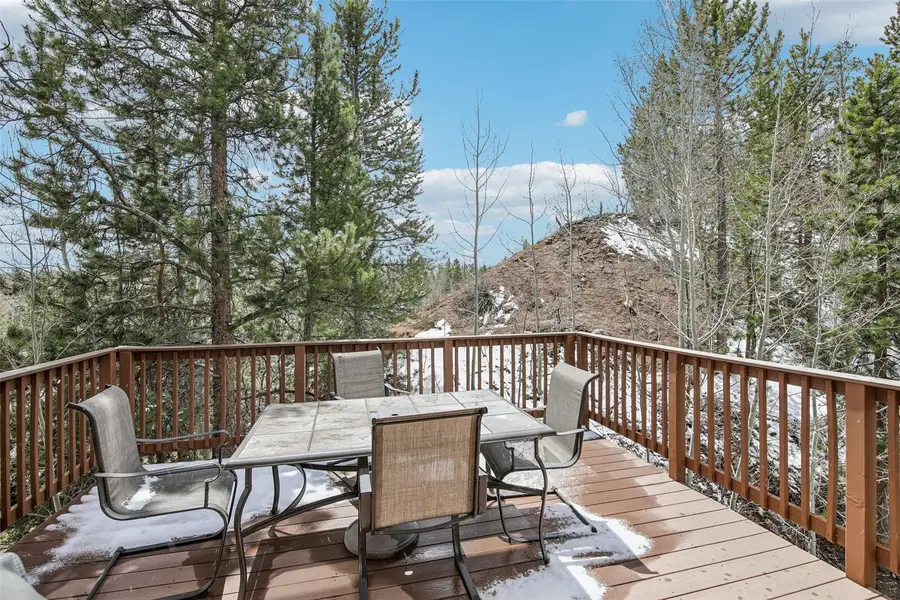 57 Salt Lick Place #57, Silverthorne, CO 80498 - #3