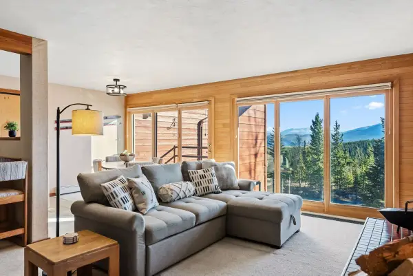 91300 Ryan Gulch Road Road #91311, Silverthorne, CO 80498