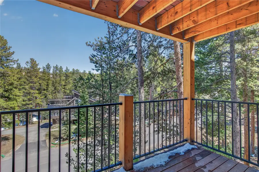 100 Now Colorado Court #D5, Breckenridge, CO 80424 - #3