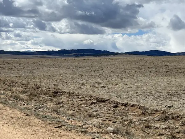 8558 Clear Creek Road, Hartsel, CO 80449