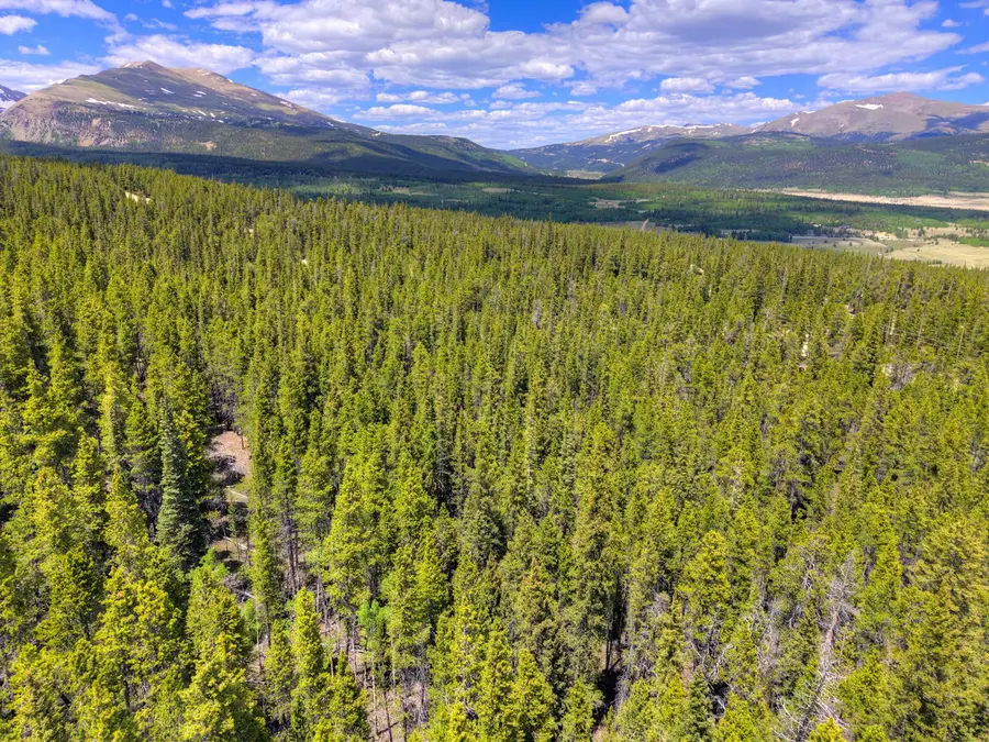 2221 Kootchie Kootchie Road, Alma, CO 80420 - #2