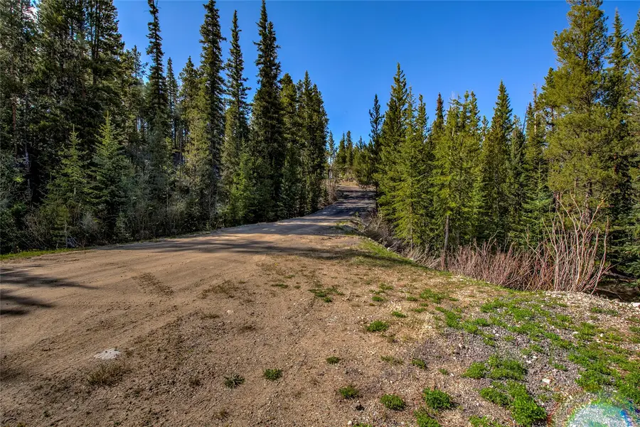 163 Lakeview Drive, Breckenridge, CO 80424 - #3