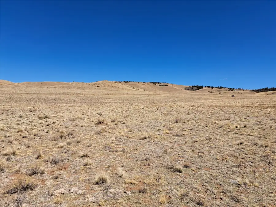 8313 Black Kettle Road, Hartsel, CO 80449 - #3
