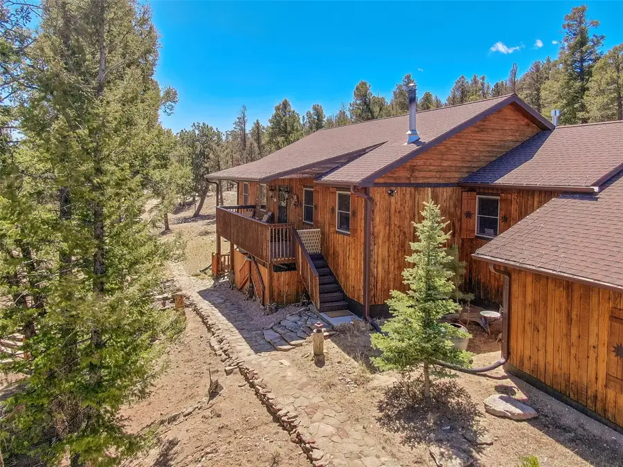 4091 Singletree Road, Hartsel, CO 80449 - #2