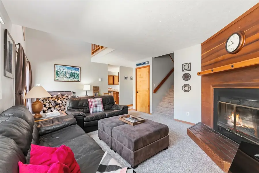 6734 Ryan Gulch Road #6734, Silverthorne, CO 80498 - #2