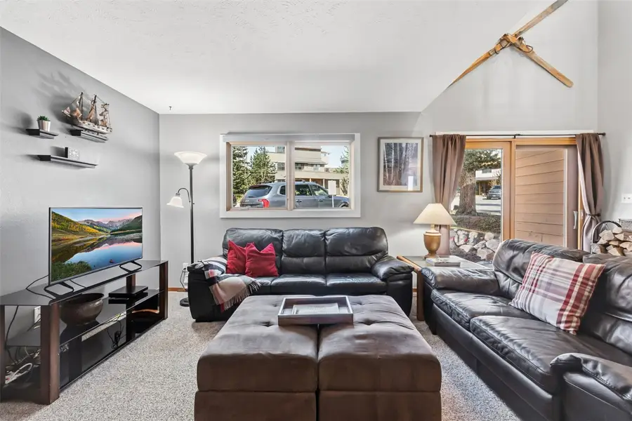 6734 Ryan Gulch Road #6734, Silverthorne, CO 80498 - #3
