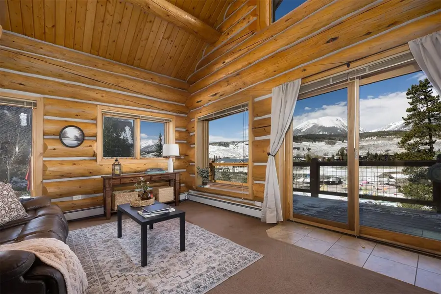 545 Tanglewood Lane, Silverthorne, CO 80498 - #3