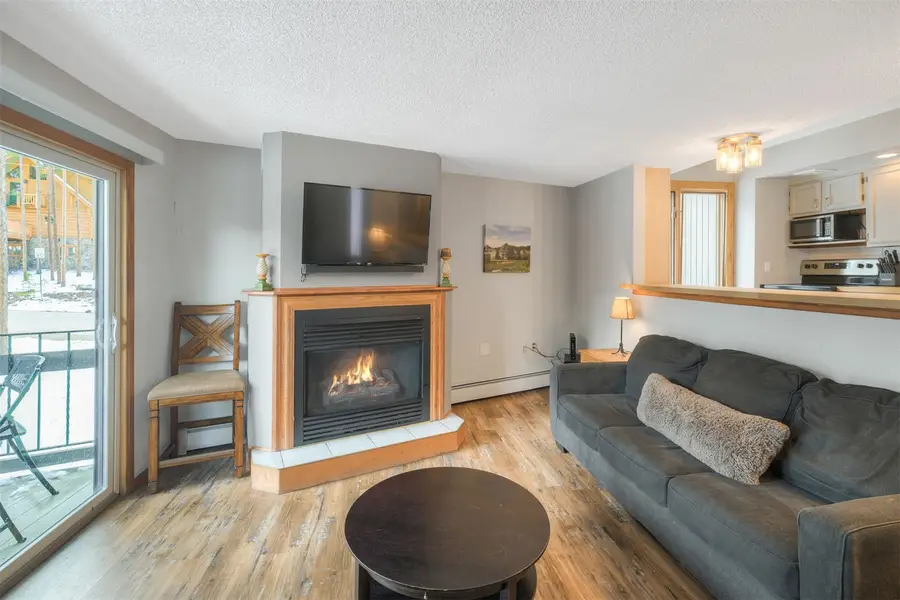 1173 Ski Hill Road #127, Breckenridge, CO 80424 - #3