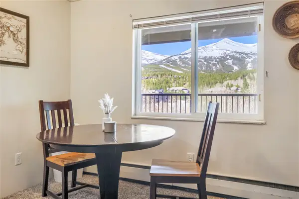 301 N French Street #308, Breckenridge, CO 80424