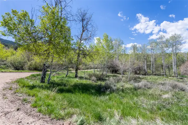 24155 Arapahoe Road, Oak Creek, CO 80467