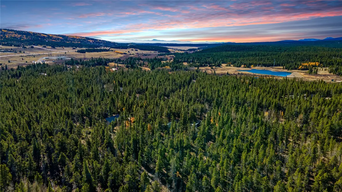 235 Willow Lane, Alma, CO 80440 - #1