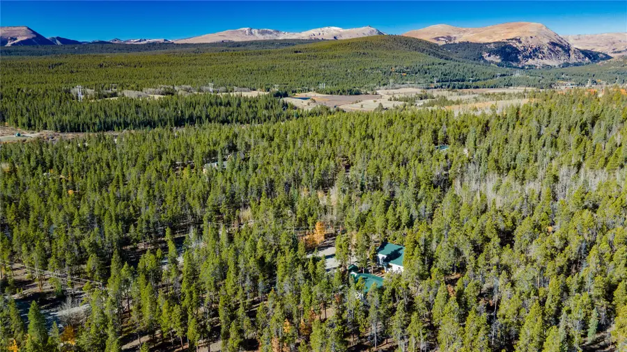 235 Willow Lane, Alma, CO 80440 - #3