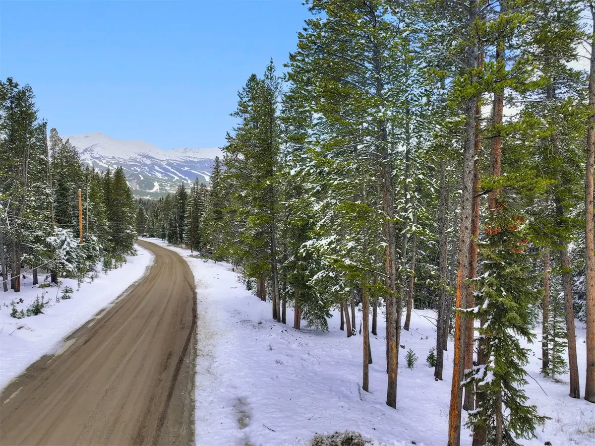 207 Cr 528, Breckenridge, CO 80424 - #1