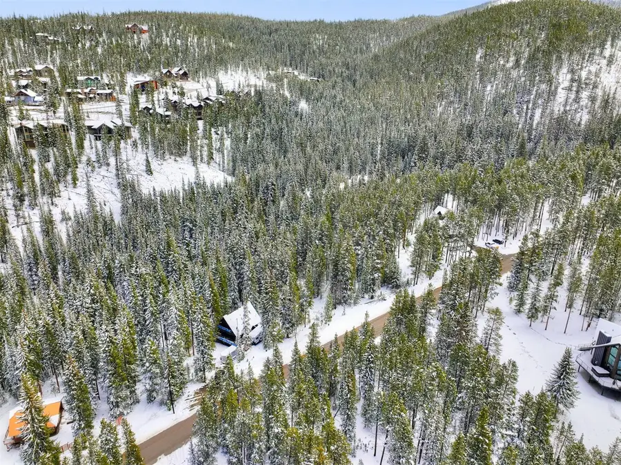 207 Cr 528, Breckenridge, CO 80424 - #3