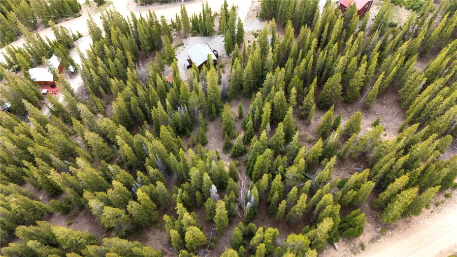 252 Silverheels Place, Fairplay, CO 80440 - #2