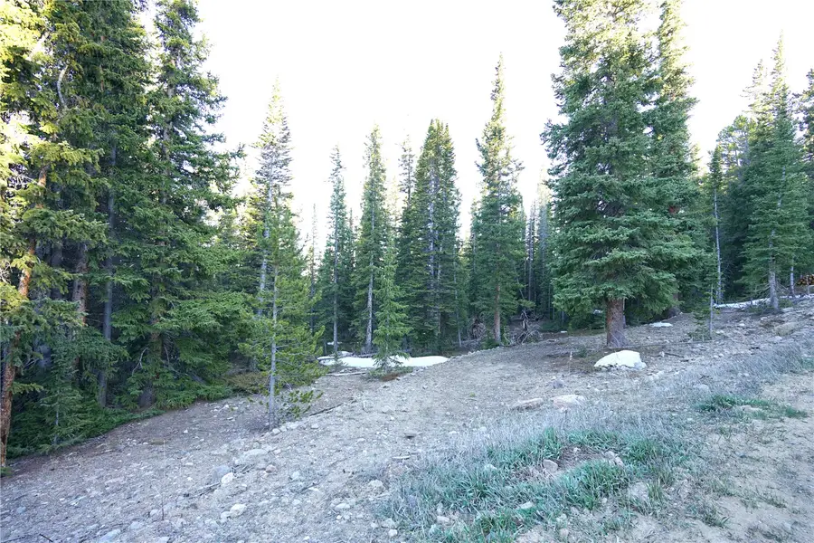 252 Silverheels Place, Fairplay, CO 80440 - #3