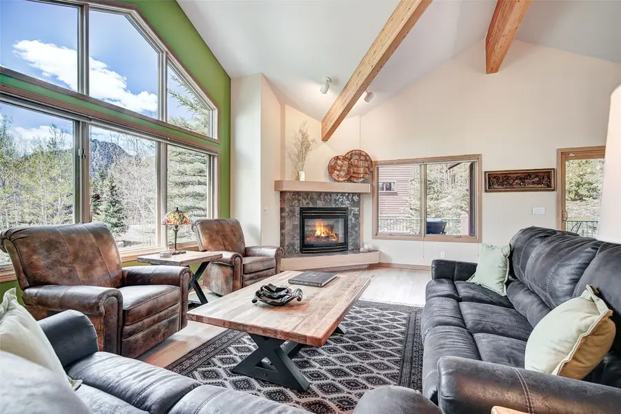119 Rose Crown Circle, Frisco, CO 80443 - #3
