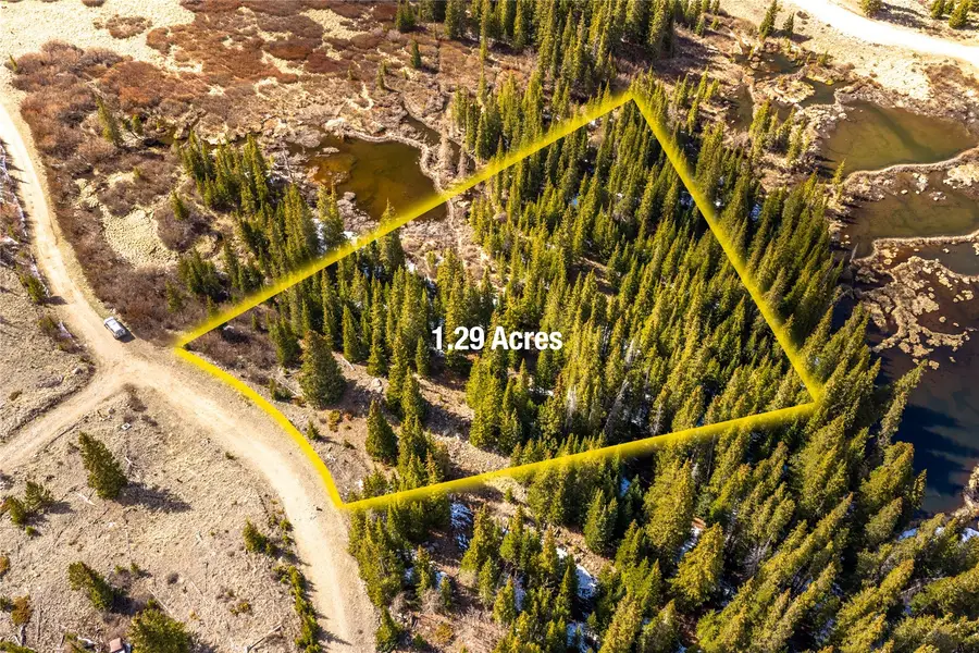 199 Zinc Road, Alma, CO 80440 - #2
