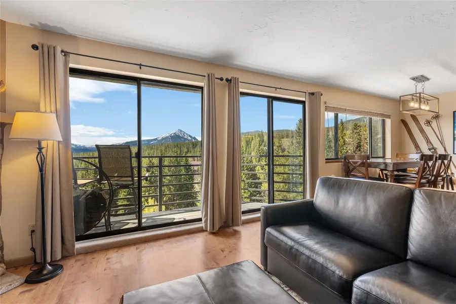 9800 Ryan Gulch Road #201, Silverthorne, CO 80498 - #3