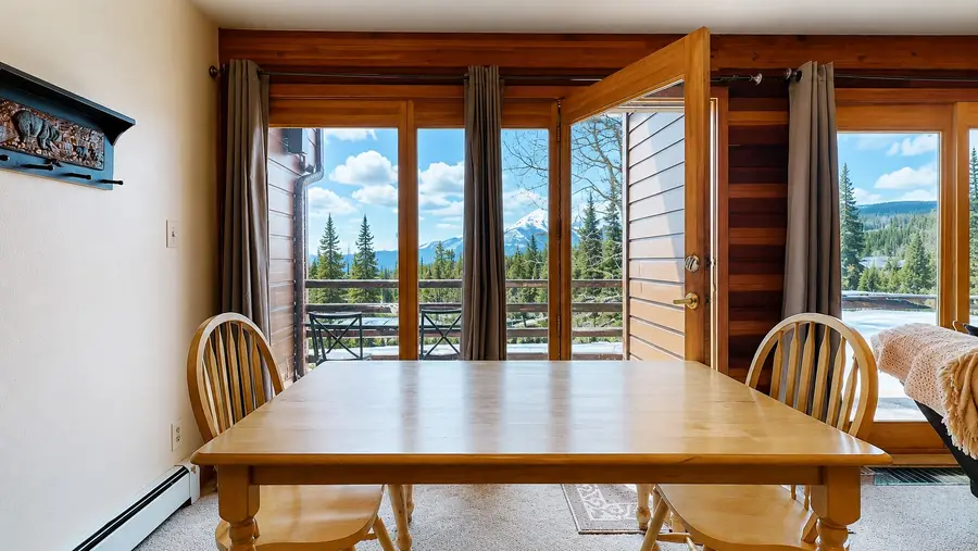 91200 Ryan Gulch Road #213, Silverthorne, CO 80498 - #3