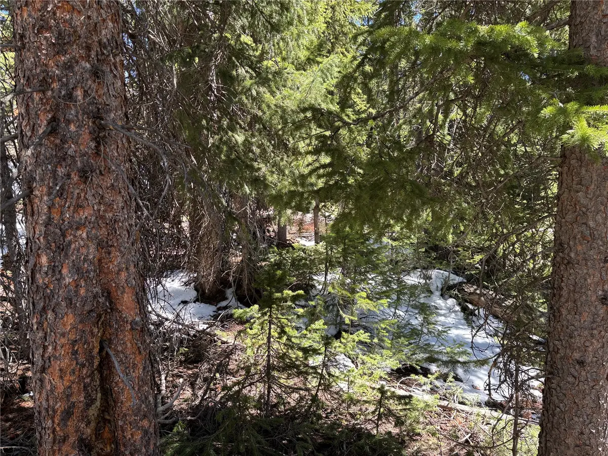 192 Kimmes Lane, Breckenridge, CO 80424 - #1