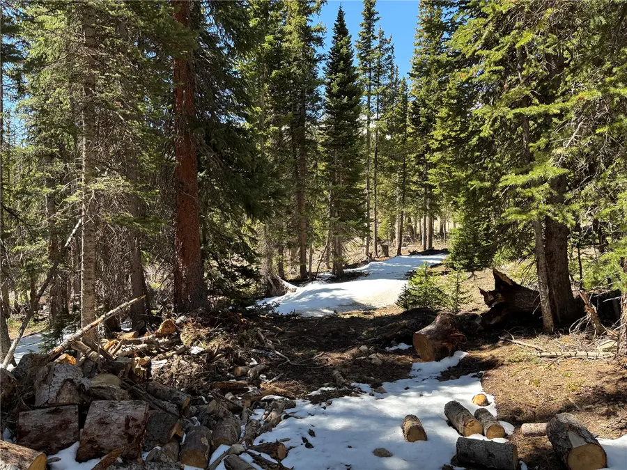 192 Kimmes Lane, Breckenridge, CO 80424 - #2