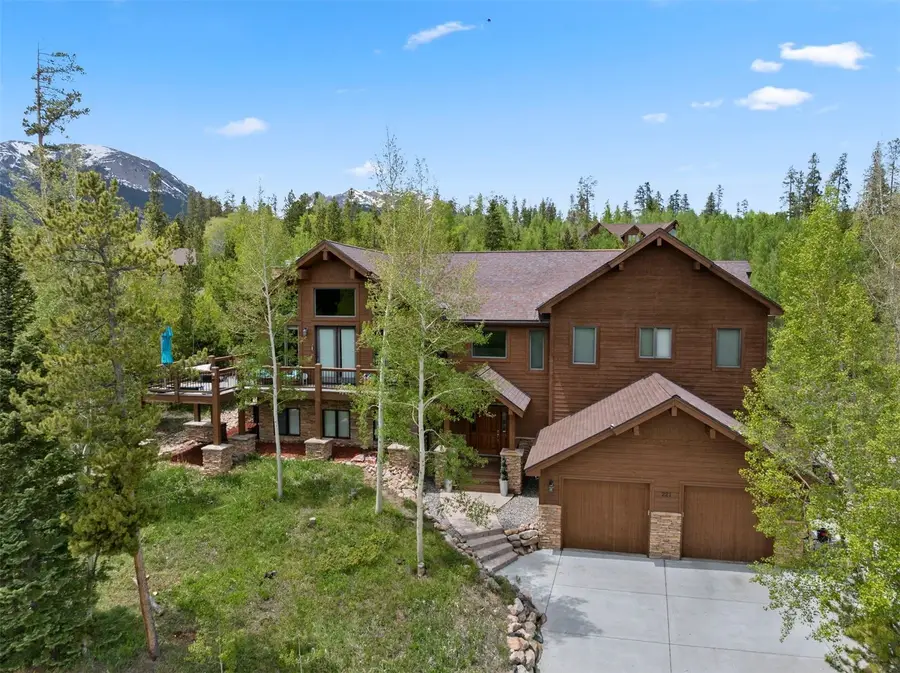 221 Kings Court, Silverthorne, CO 80498 - #2