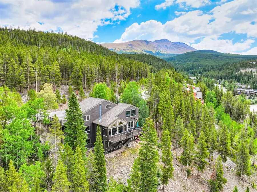 2542 Boreas Pass Road, Breckenridge, CO 80424 - #2