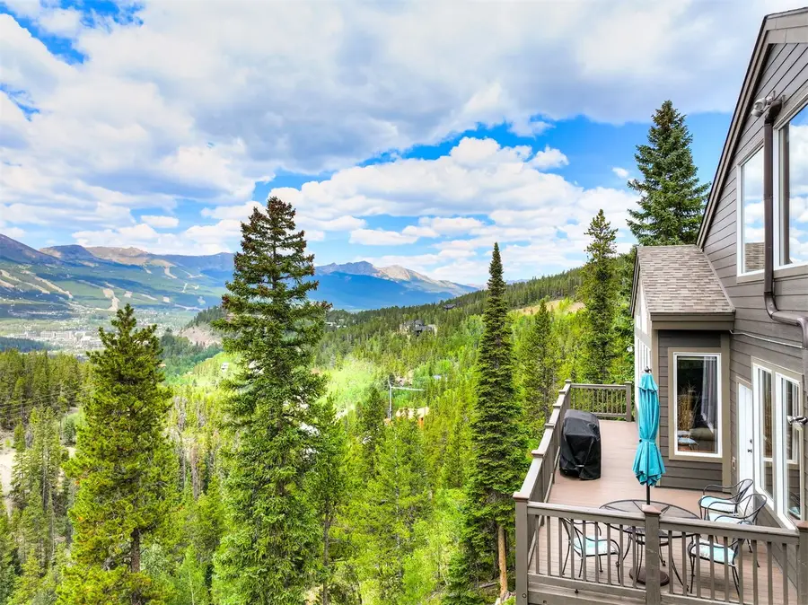 2542 Boreas Pass Road, Breckenridge, CO 80424 - #3