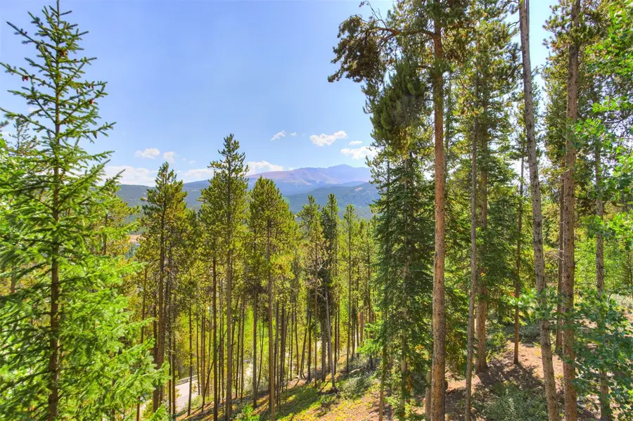 50 Amber Court #A, Breckenridge, CO 80424 - #3