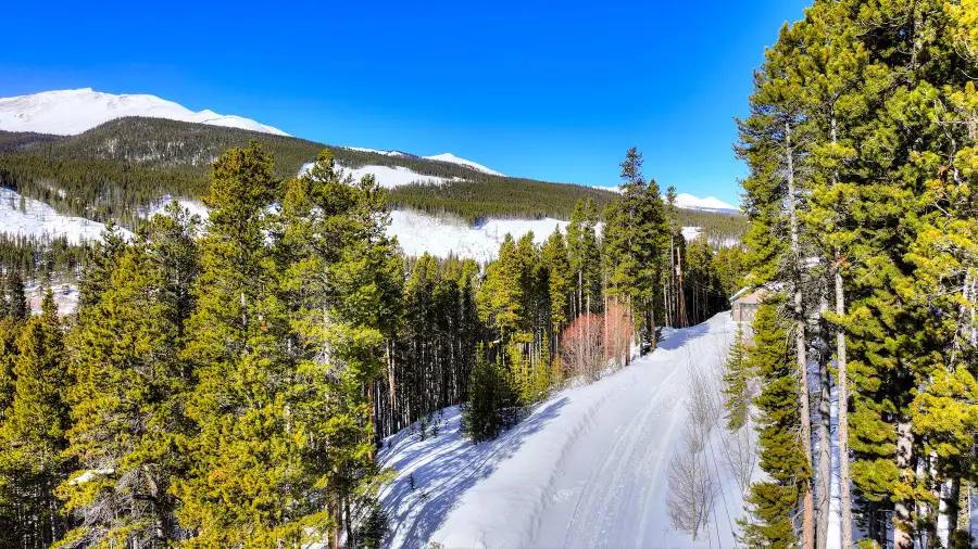 125 Pennsylvania Creek Trail, Blue River, CO 80424 - #2