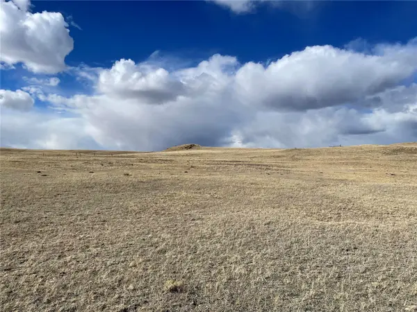 305 Badger Lane, Hartsel, CO 80449