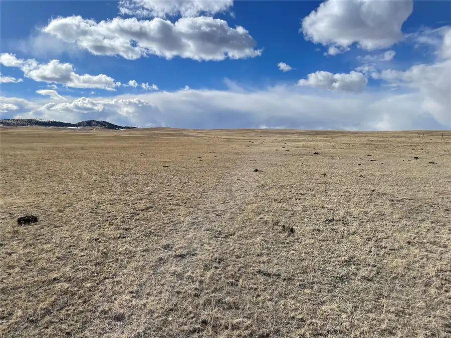 305 Badger Lane, Hartsel, CO 80449 - #2