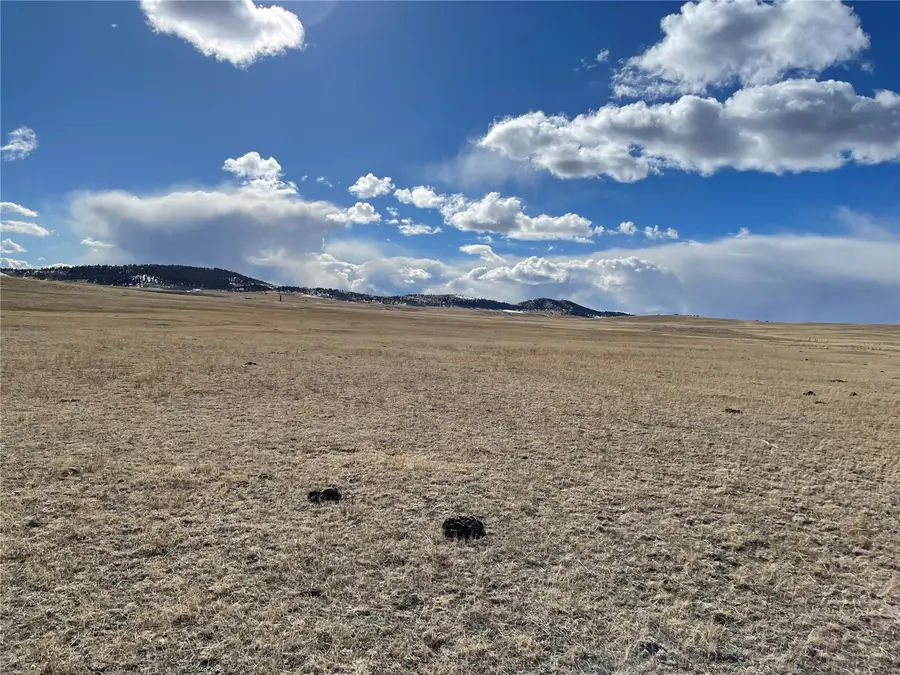 305 Badger Lane, Hartsel, CO 80449 - #3