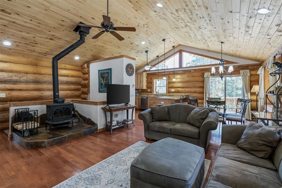 248 Puma Place, Fairplay, CO 80440 - #2