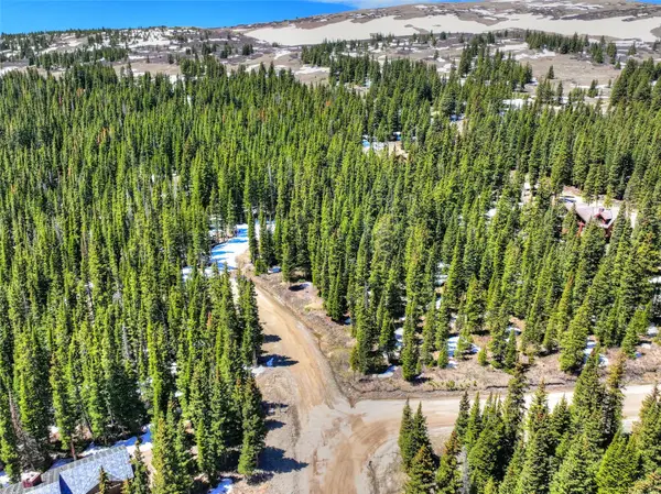 31 Kimmes Lane, Breckenridge, CO 80424