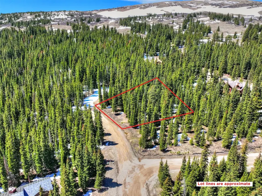 31 Kimmes Lane, Breckenridge, CO 80424 - #2