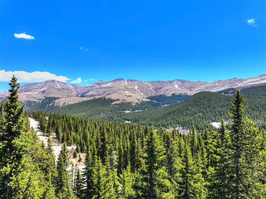 31 Kimmes Lane, Breckenridge, CO 80424 - #3