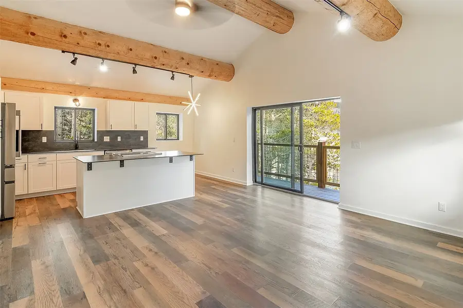 148 N Aspen Street, Alma, CO 80420 - #3
