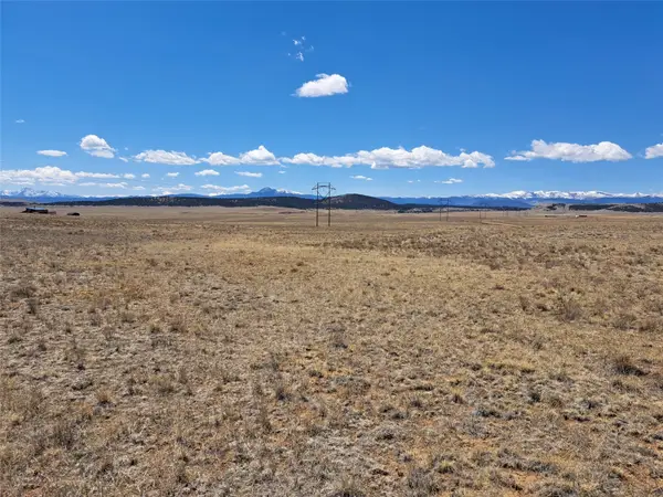 1356 Larimer Road, Hartsel, CO 80449