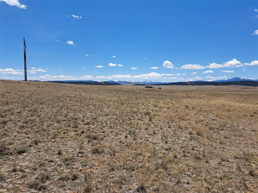 1356 Larimer Road, Hartsel, CO 80449 - #3