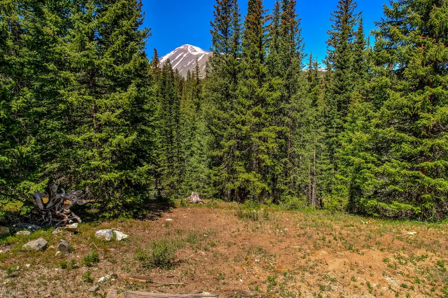 0307 Cr 674, Blue River, CO 80424 - #3