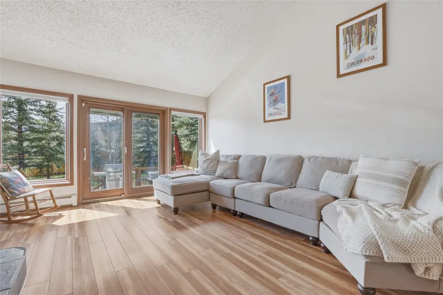 195 Cottonwood Drive, Dillon, CO 80435 - #3