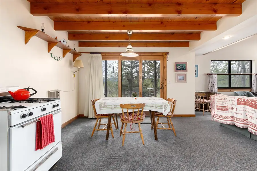 43 Apache Trail, Como, CO 80432 - #3