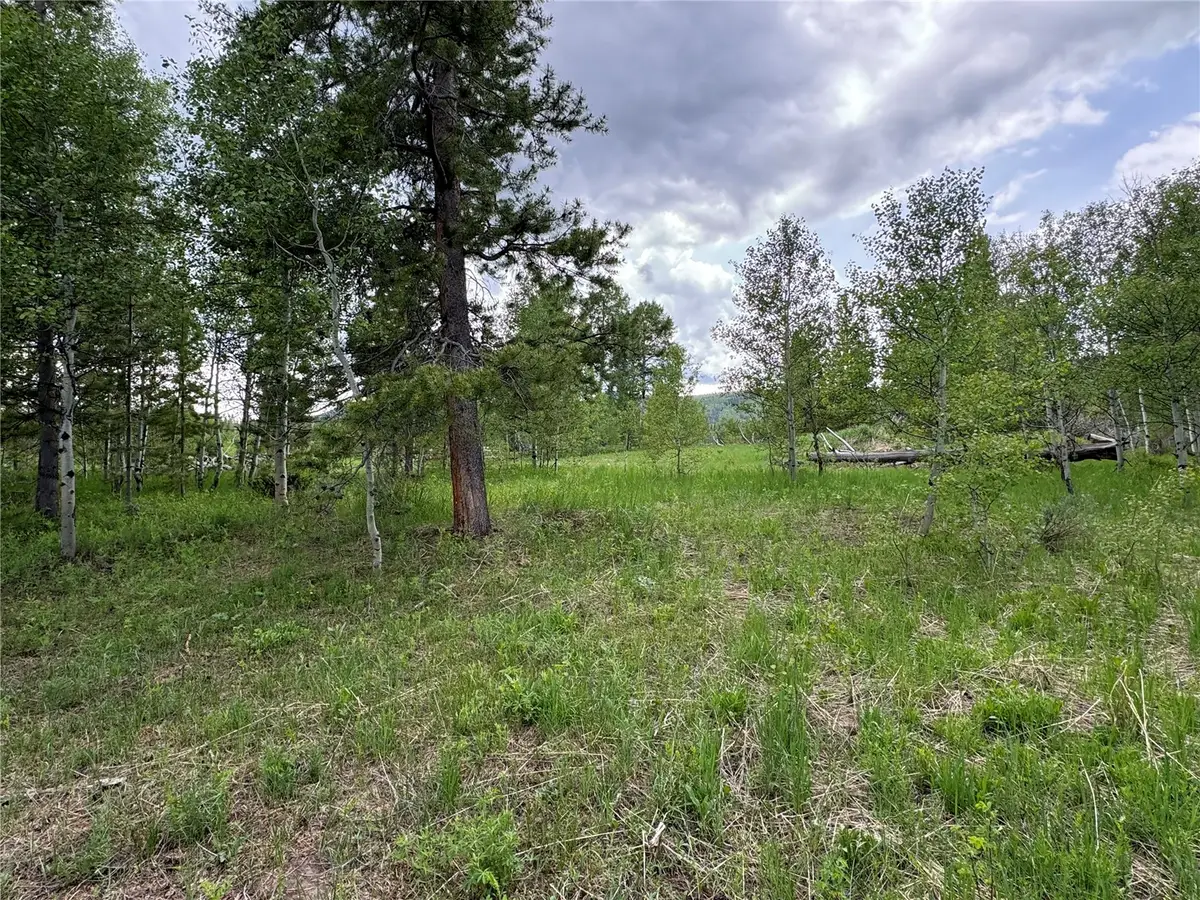 21095 Stampede Way, Oak Creek, CO 80467 - #1