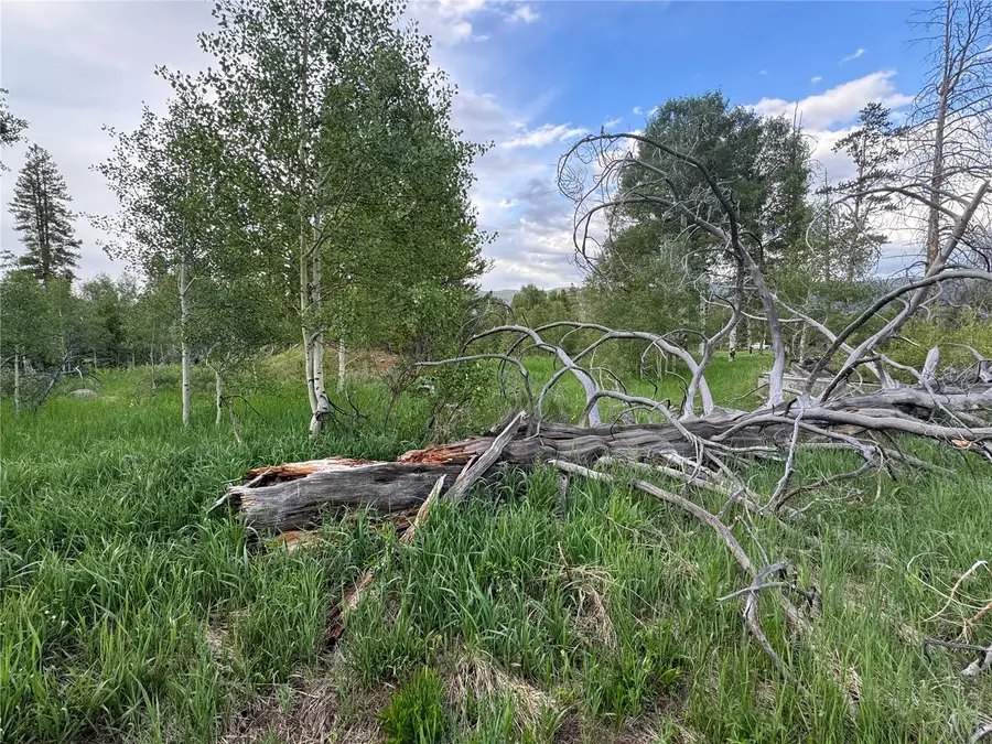 21095 Stampede Way, Oak Creek, CO 80467 - #2