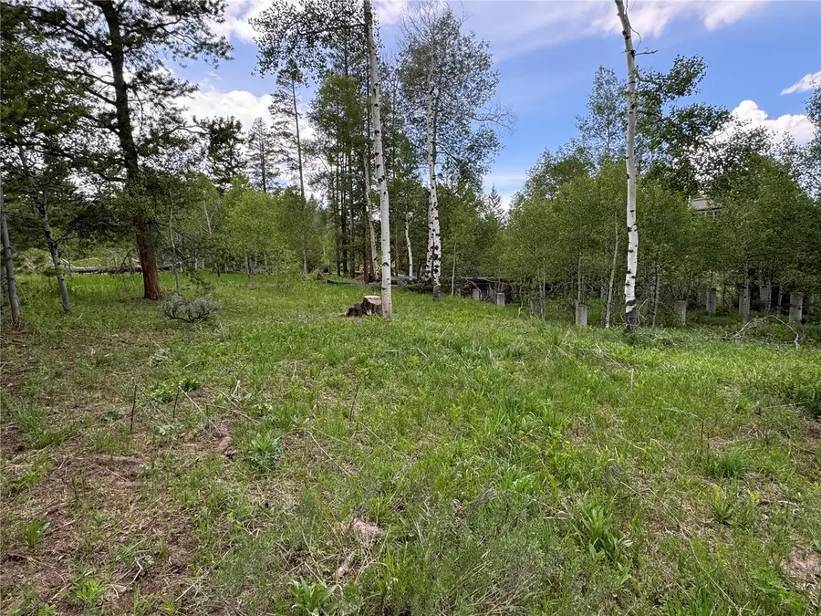 21095 Stampede Way, Oak Creek, CO 80467 - #3