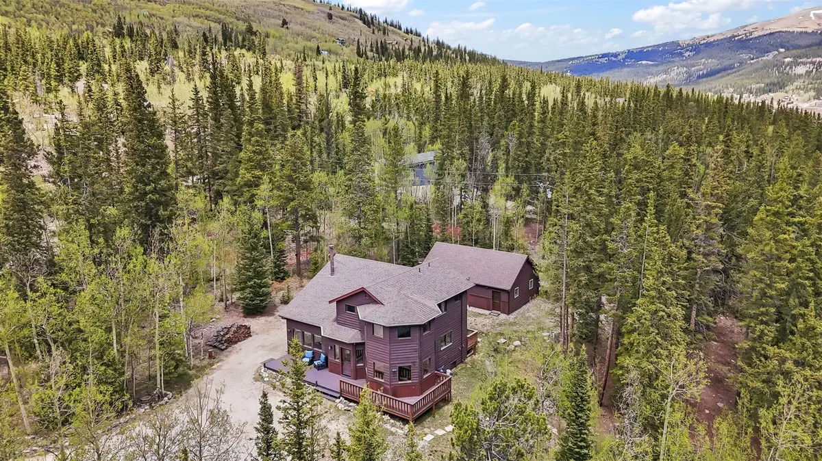 366 Quartzville Road, Alma, CO 80420 - #1