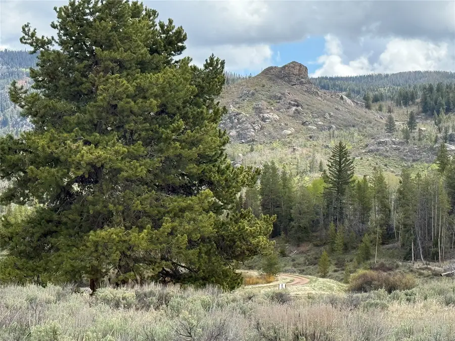 20860 Hoch Eye Way, Oak Creek, CO 80467 - #3