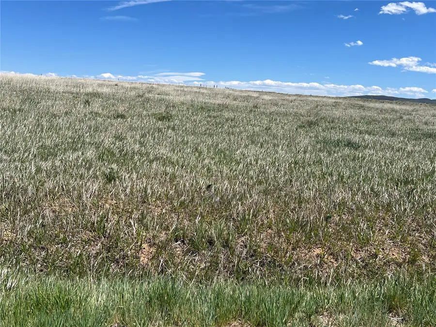 38275 Hillcrest Court, Hayden, CO 81639 - #2